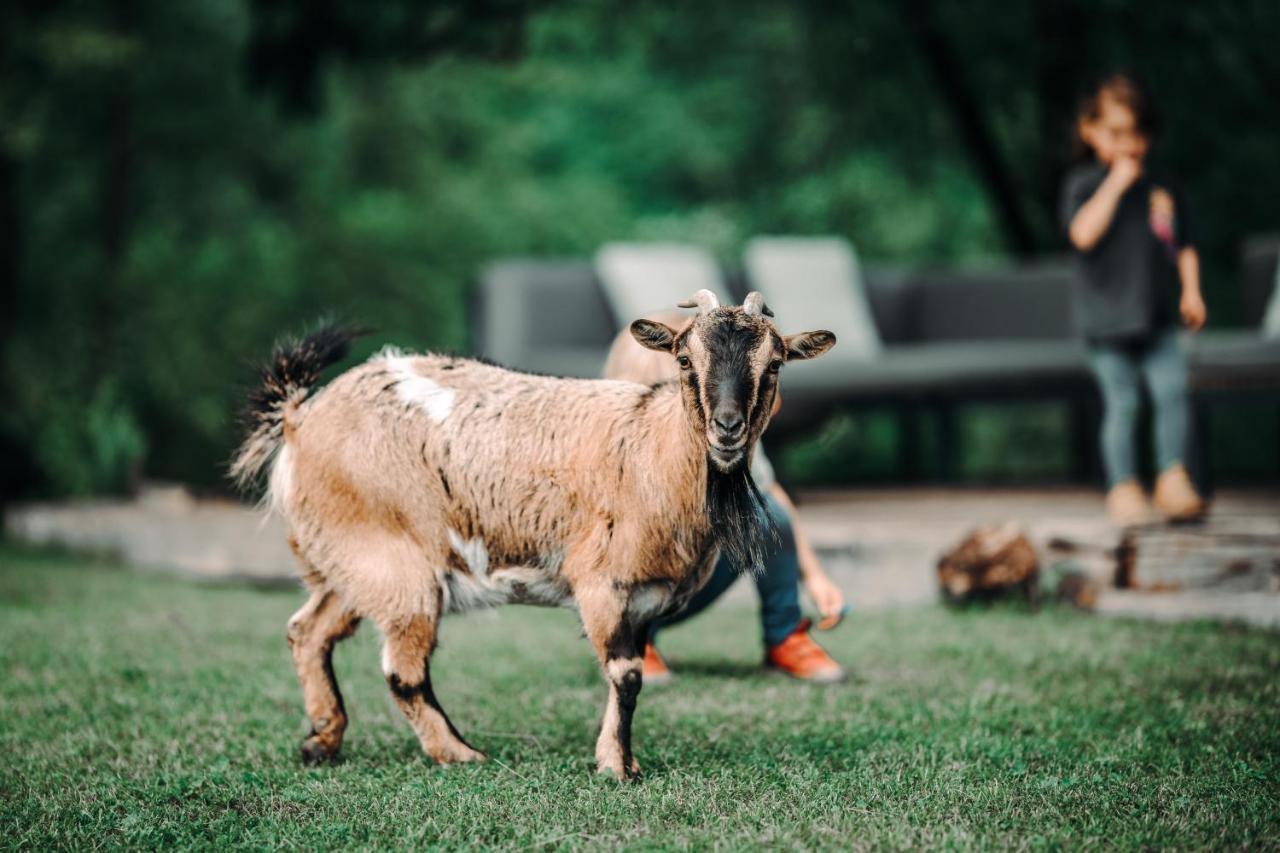 Goat'S Paradise Бохинь Экстерьер фото
